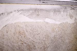 Plane Polarized, E50409