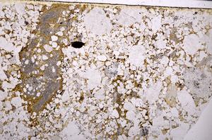 Plane Polarized, E50427