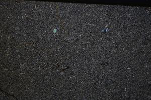 Cross Polarized, E50434