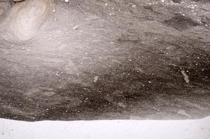 Plane Polarized, E50439/B