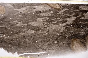 Plane Polarized, E50439/C