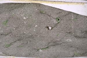 Plane Polarized, E50473