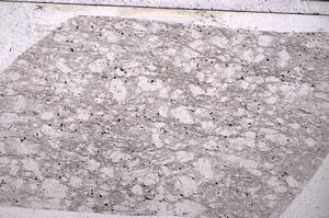 Plane Polarized, E50506