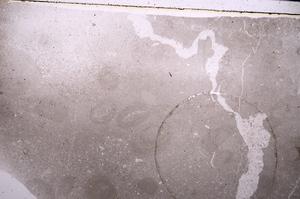 Plane Polarized, E50513