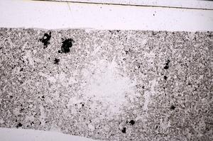 Plane Polarized, E50515