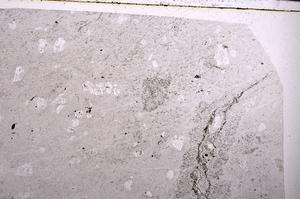 Plane Polarized, E50542