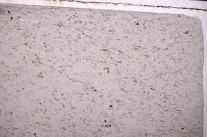 Plane Polarized, E50550