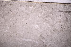 Plane Polarized, E50595
