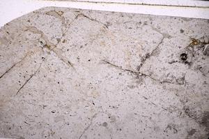 Plane Polarized, E50616