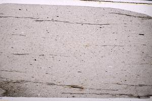 Plane Polarized, E50642