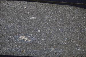 Cross Polarized, E50646