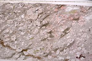 Plane Polarized, E50665/A