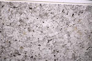 Plane Polarized, E50762