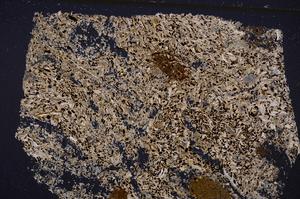 Cross Polarized, E50864/A