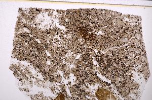 Plane Polarized, E50864/A