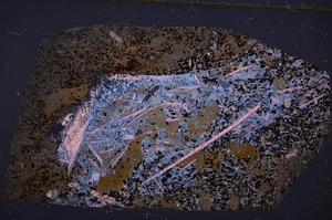 Cross Polarized, E50864/B