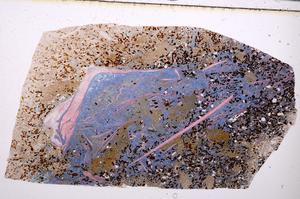 Plane Polarized, E50864/B