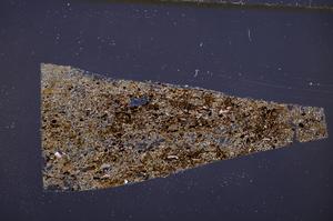 Cross Polarized, E50865/A