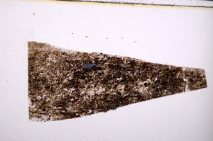 Plane Polarized, E50865/A