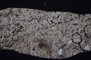 Cross Polarized, E50867/C