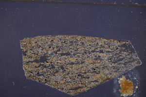 Cross Polarized, E50872/A