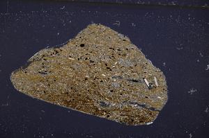 Cross Polarized, E50872/B