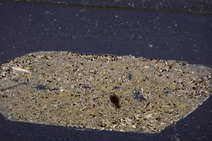 Cross Polarized, E50873/B