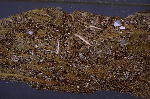 Cross Polarized, E50874/A