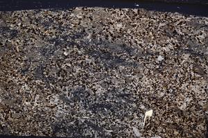 Cross Polarized, E50874/C