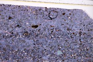 Plane Polarized, E50876/A