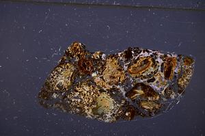 Cross Polarized, E50893/A