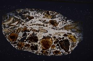 Cross Polarized, E50893/B