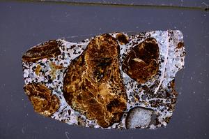 Cross Polarized, E50895/A