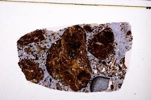 Plane Polarized, E50895/A