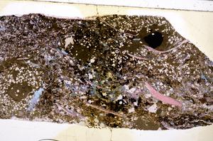 Plane Polarized, E50896/A