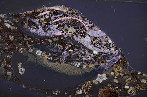 Cross Polarized, E50897/B