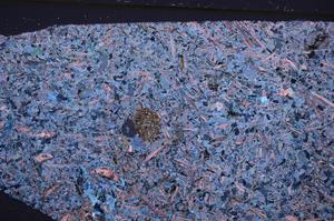 Cross Polarized, E50918/A