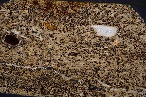 Cross Polarized, E50925/A