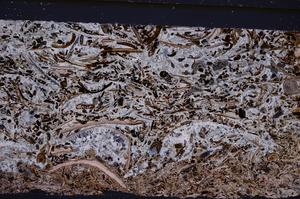 Cross Polarized, E50931/A