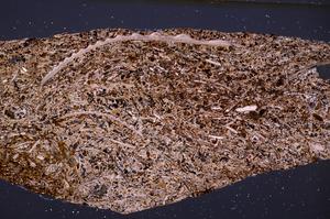 Cross Polarized, E50931/B