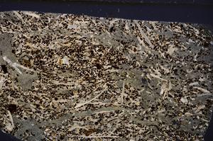 Cross Polarized, E50949/B