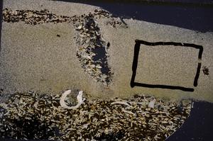 Cross Polarized, E50951/B