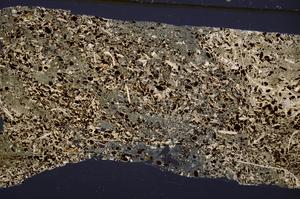 Cross Polarized, E50953/A