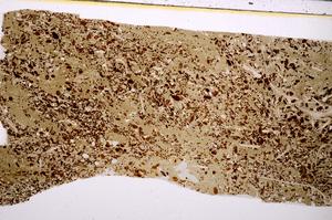 Plane Polarized, E50953/A