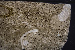 Cross Polarized, E50961/A