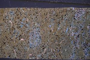 Cross Polarized, E50961/B