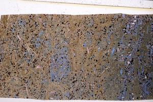 Plane Polarized, E50961/B