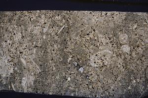 Cross Polarized, E50961/C