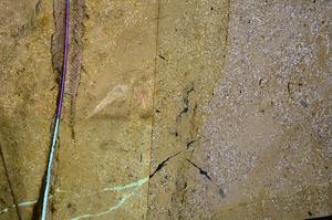 Cross Polarized, E50984