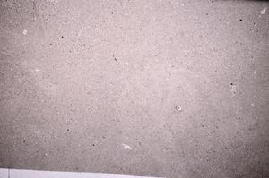 Plane Polarized, E51004